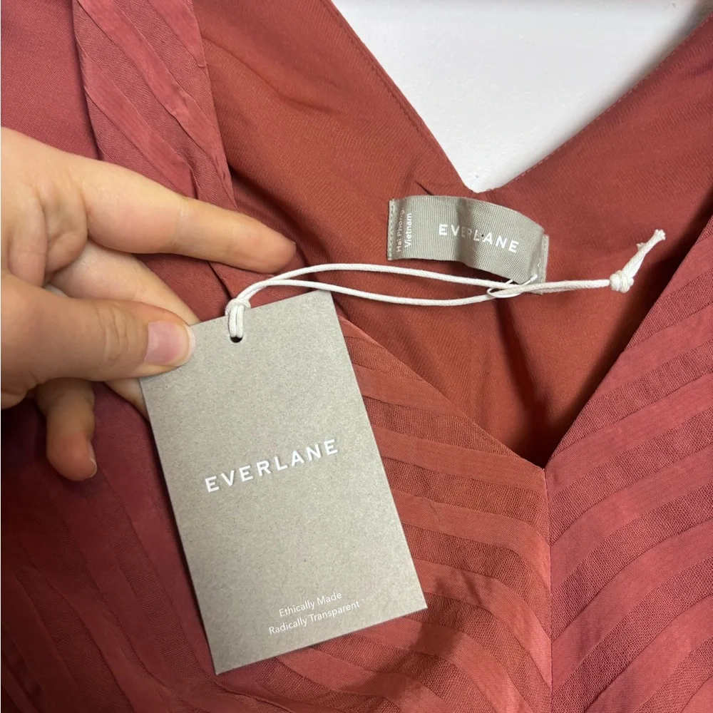 Everlane NWT Rust Colored City Striped Sleeveless V-neck Midi Dress - Picture 3 of 12